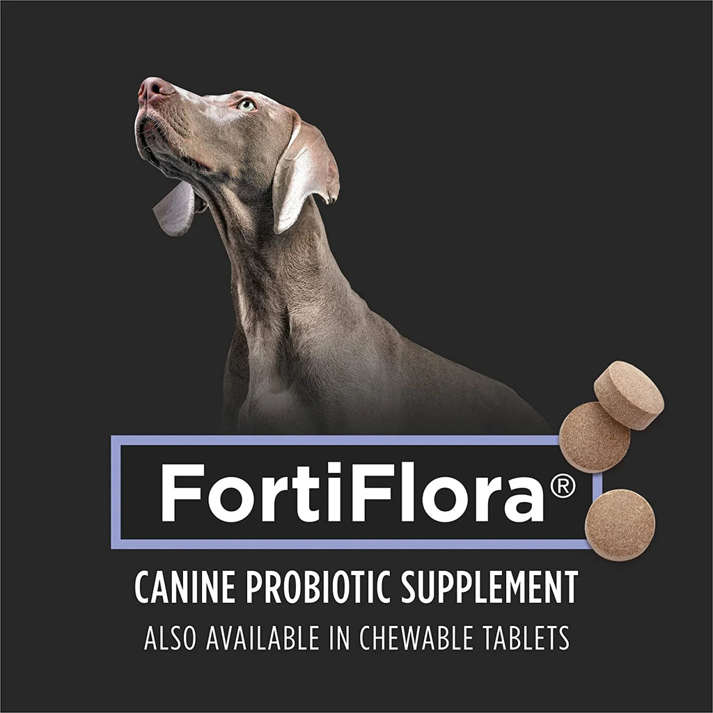 30 ct. Canine Probiotic Supplement K8625