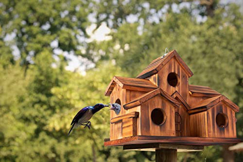 Brown Set of 1 Hanging Birdhouse Z80028