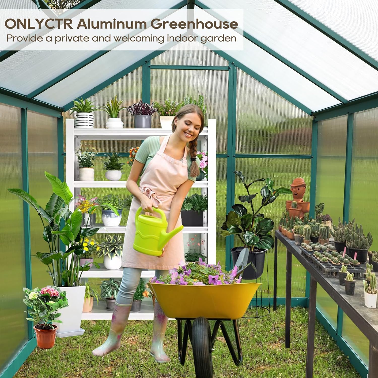Aluminum Polycarbonate Greenhouse 6'x 8' with Adjustable Roof Vent and Rain Gutter W917979