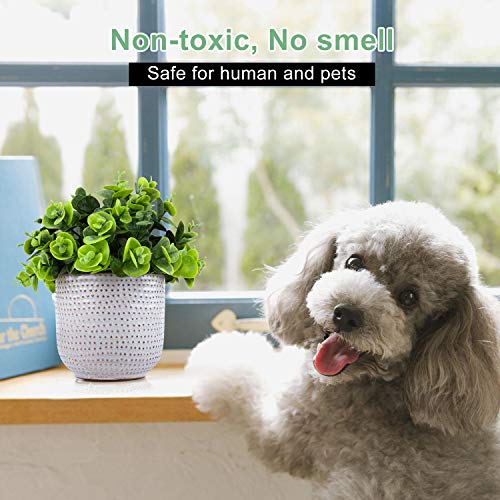 2 Pack Artificial Succulents in Ceramic Planters Fake Greenery Potted X58438