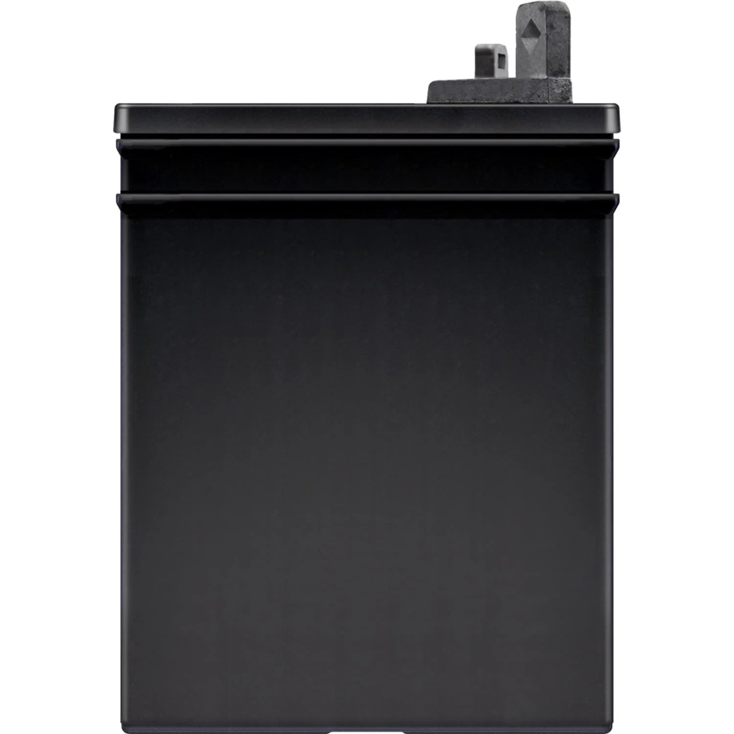 Group Size U1P 12 Volt 275 CCA Lawn and Garden Lead Acid Battery Z644371