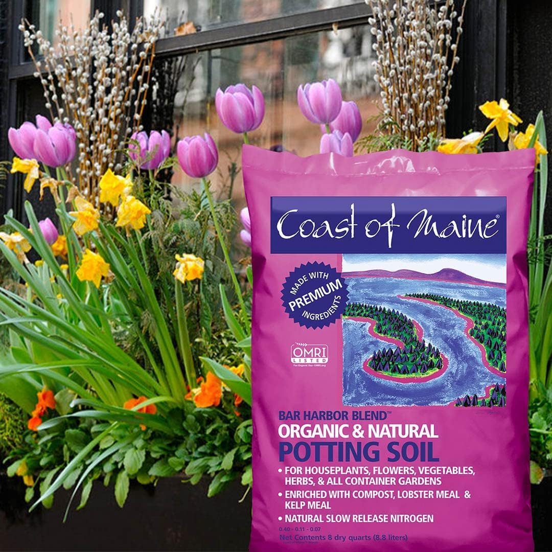 Organic Potting Soil 8qt V981