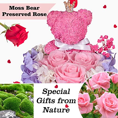 Preserved Rose Moss Bear with I Love You Necklace Roses U354454