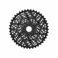 11 Speed Cassette 10-42T R14081