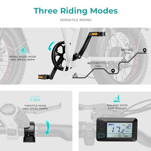20" Electric Bike with 1000W Peak Motor, 624WH Removable Battery, Folding Fat Tire Bike W993