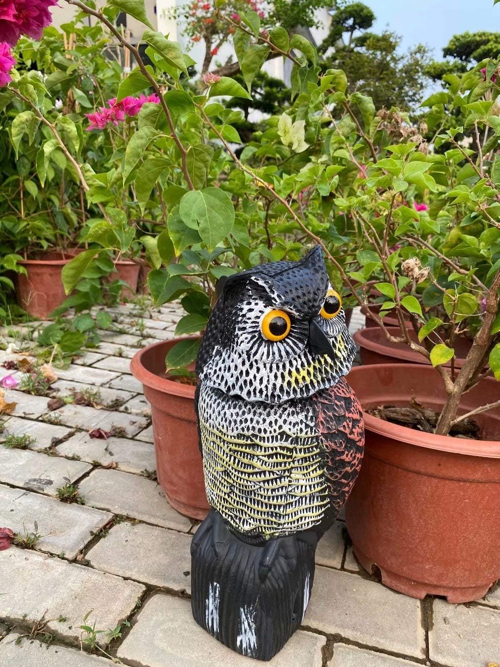 Realistic Owl Decoy with 360 Rotate Head P9476