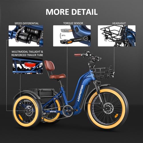 Electric Trike with 750W Rear Motor, 48V 20AH/40AH Dual Battery System, Differential, Parking Brake W37542