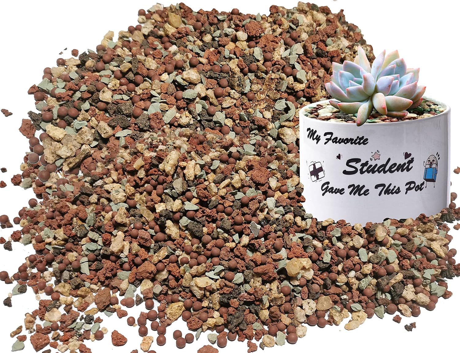 2.2LB Perlite Pumice Lava Rocks Potting Mix X148