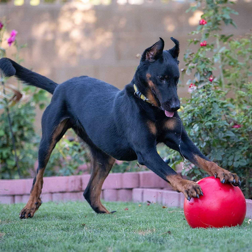 Virtually Indestructible Ball S9125
