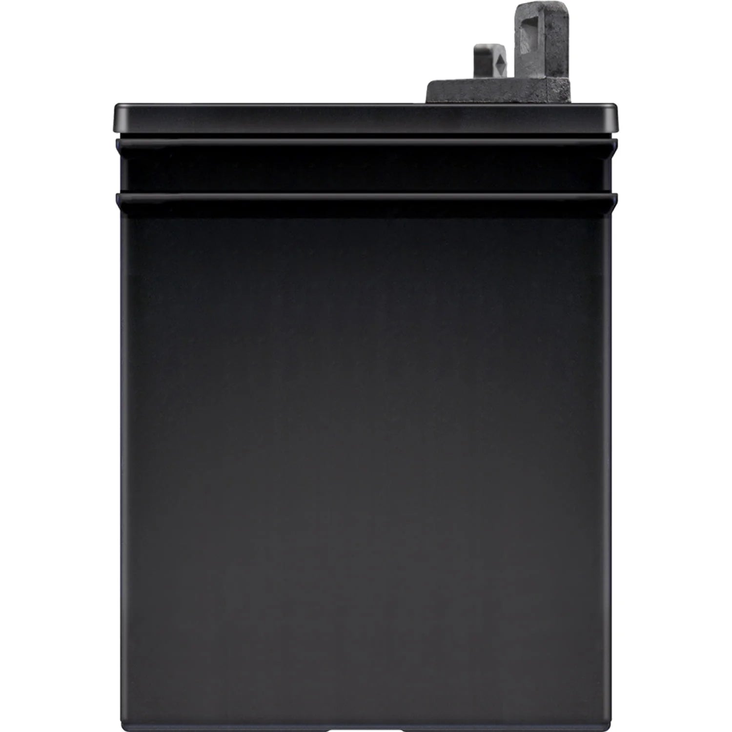 Group Size U1P 12 Volt 275 CCA Lawn and Garden Lead Acid Battery Z644371