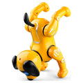 Remote Control Robot Dog Toy T796