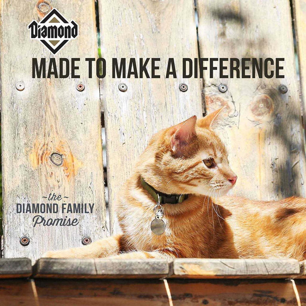 Dry Cat Food G315