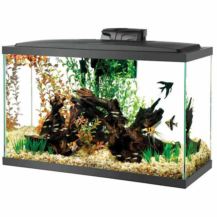 29 Gal Standard Aquarium X49818