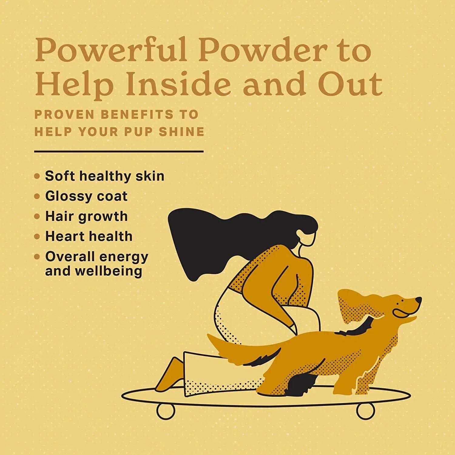 Skin & Coat Powder Supplement N31618