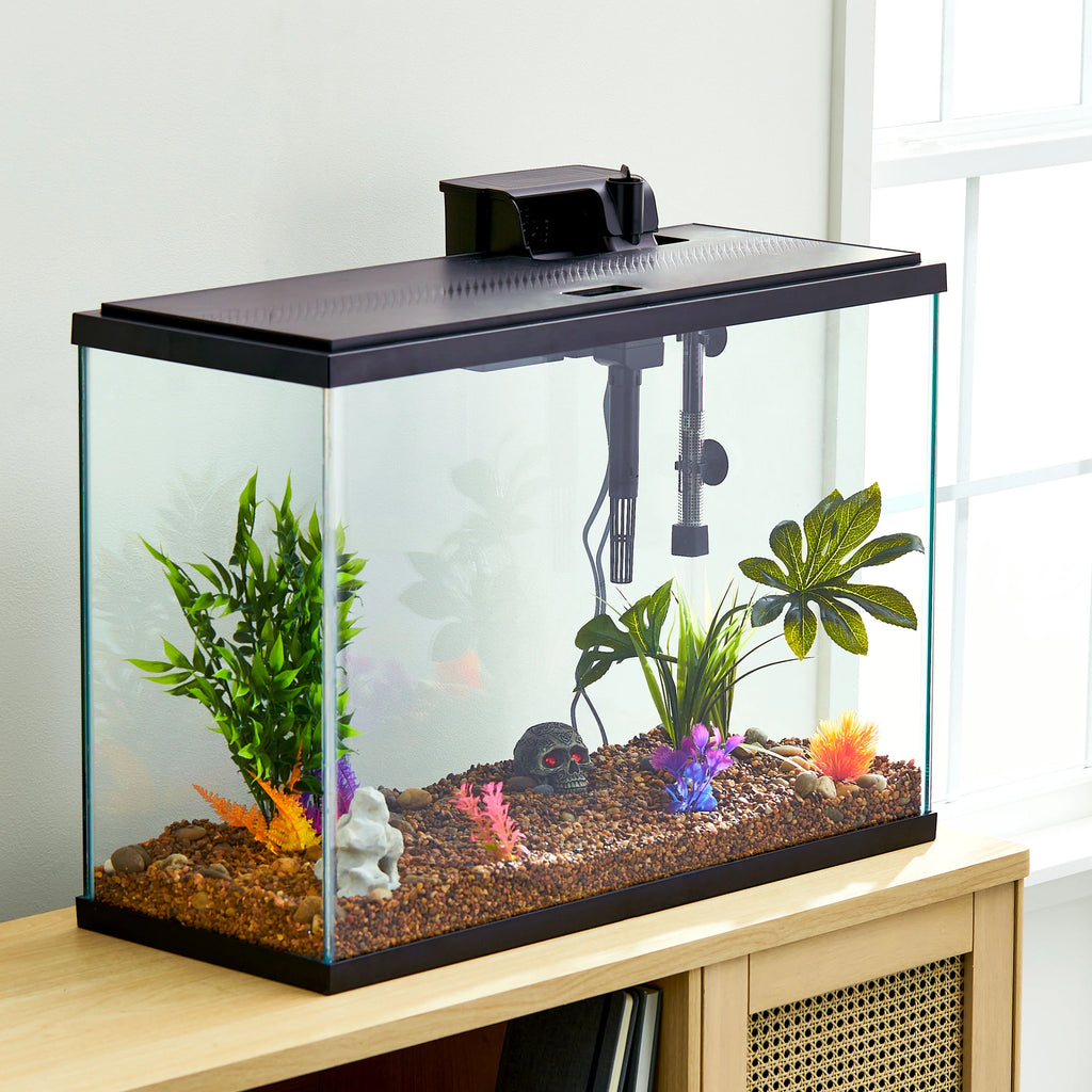 Black 29 Gallon Glass Aquarium Starter Kit Q923