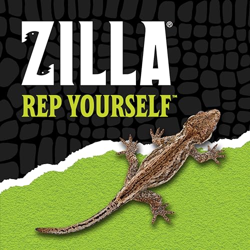 48"x18"x18" Glass Reptile Terrarium R763914