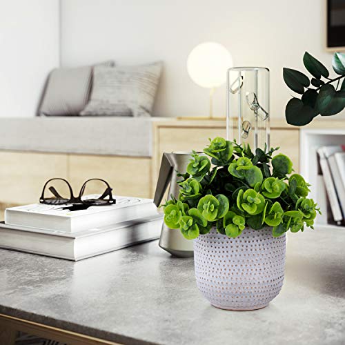 2 Pack Artificial Succulents in Ceramic Planters Fake Greenery Potted X58438