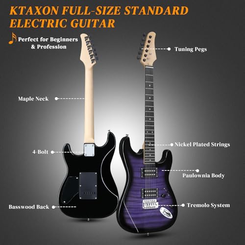 39 Inch H-H Pickups Electric Guitar Set with 20W Amplifier, Bag, Strap, Cable, Accessories Y362