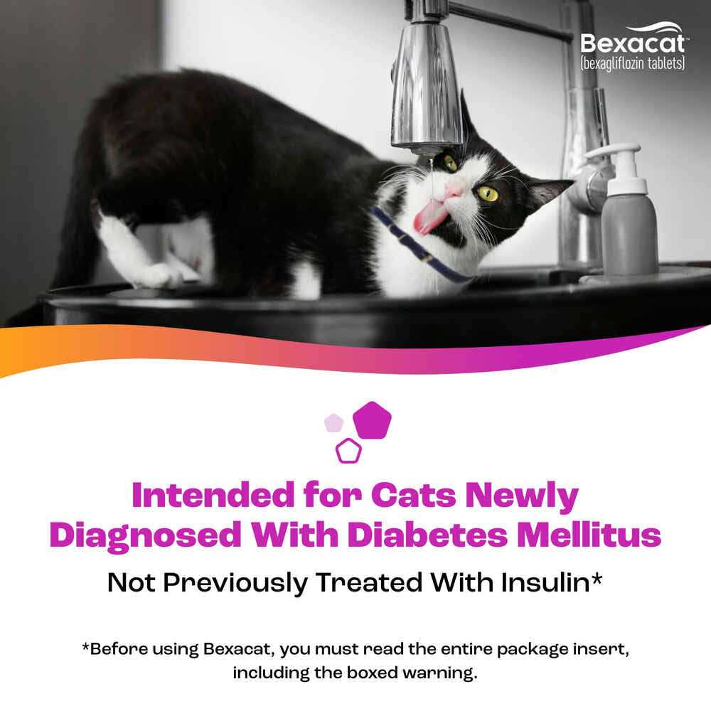 15 mg Bexacat for Cats F4744