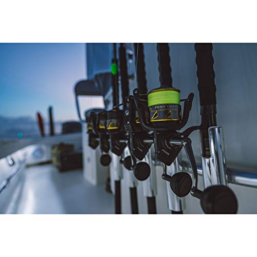 Spinning Fishing Reel P218721