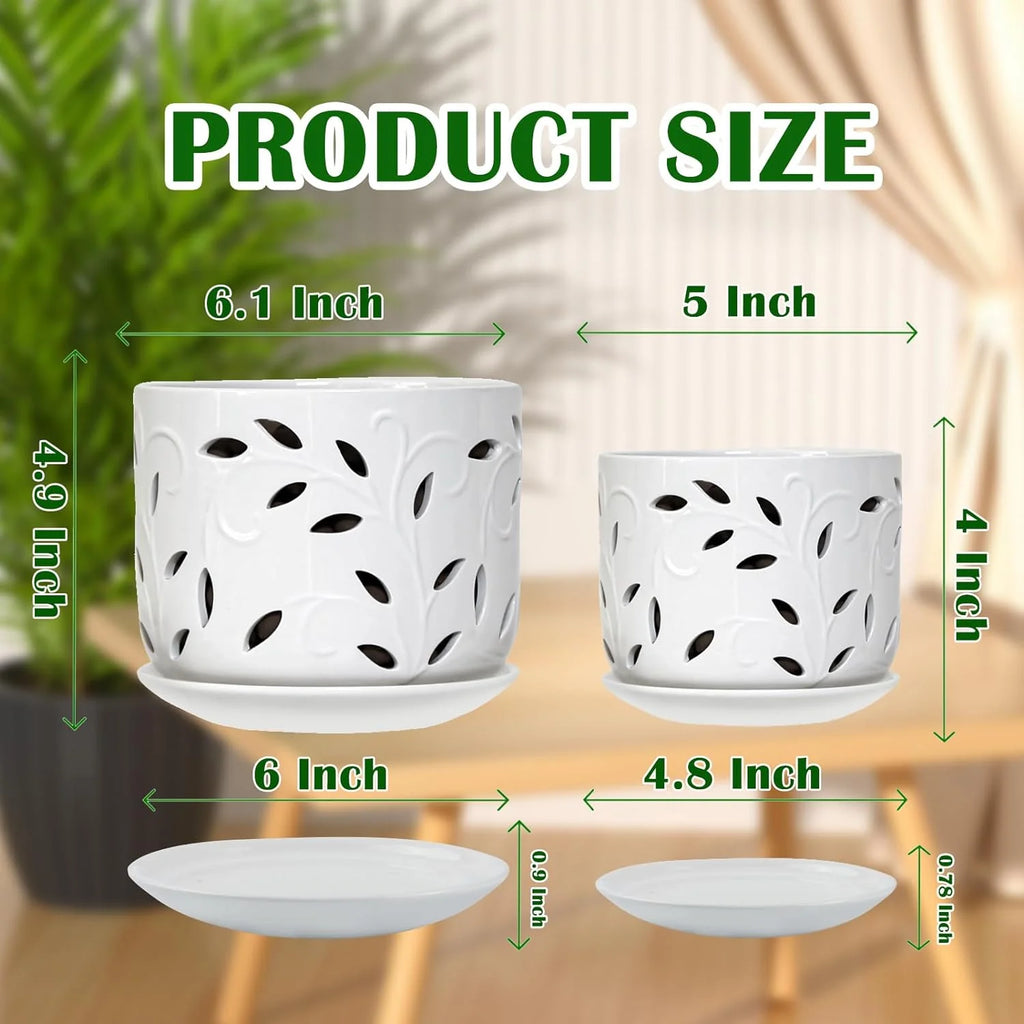 Set of 2 Ceramic Orchid Pots with Saucers, 5 inch & 6 inch D2701