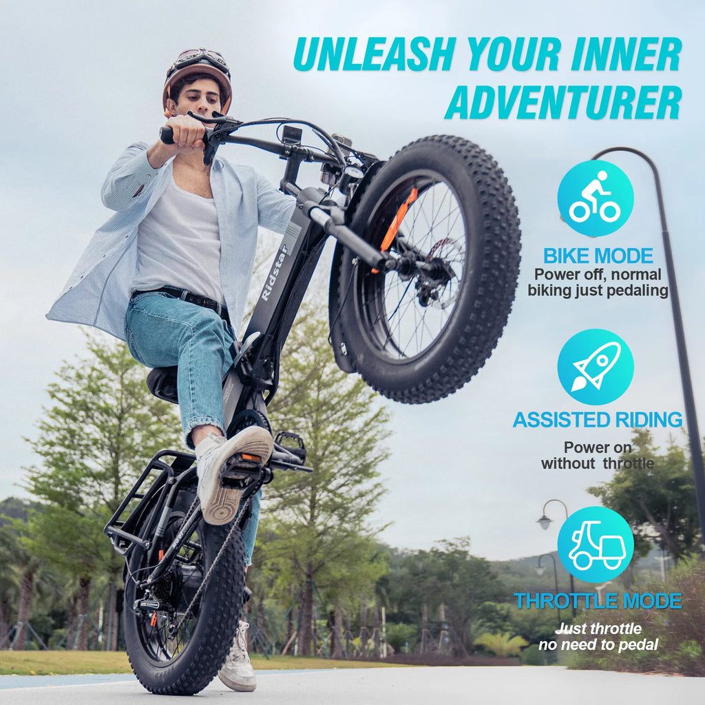 750W 48V 14AH Removable Battery 20" x 4.0 Fat Tire 7-Speed Electric Bike R419