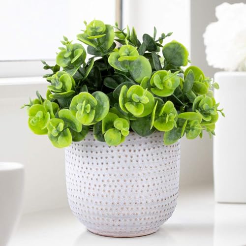 2 Pack Artificial Succulents in Ceramic Planters Fake Greenery Potted X58438