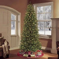 9 ft Pre-Lit Slim Fraser Green Fir Artificial Christmas Tree with Clear/White Lights I373