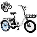 500W Folding Electric Tricycle A117