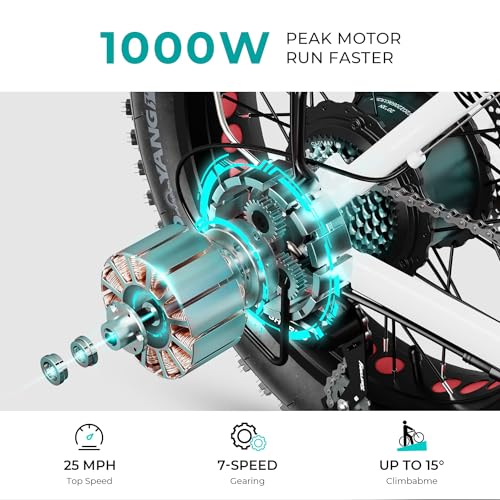 20" Electric Bike with 1000W Peak Motor, 624WH Removable Battery, Folding Fat Tire Bike W993