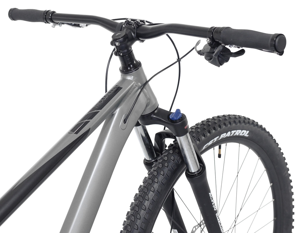 29" Men's Mountain Bike, Black and Taupe C404934