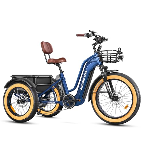 Electric Trike with 750W Rear Motor, 48V 20AH/40AH Dual Battery System, Differential, Parking Brake W37542