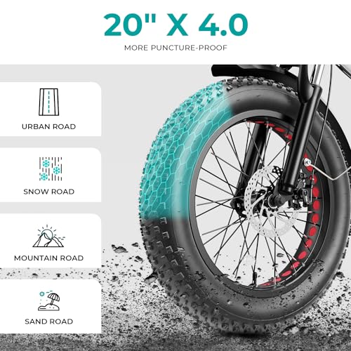 20" Electric Bike with 1000W Peak Motor, 624WH Removable Battery, Folding Fat Tire Bike W993
