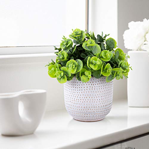 2 Pack Artificial Succulents in Ceramic Planters Fake Greenery Potted X58438