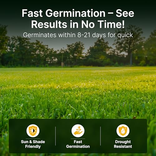 Tall Fescue Grass Seed Mix N509883