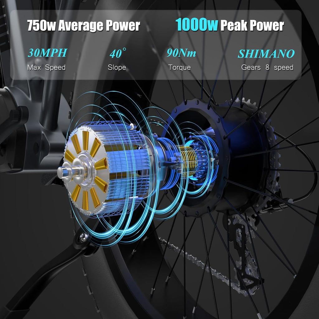 26" Fat Tire 1000W Electric Bike with 48V Removable Battery Q695