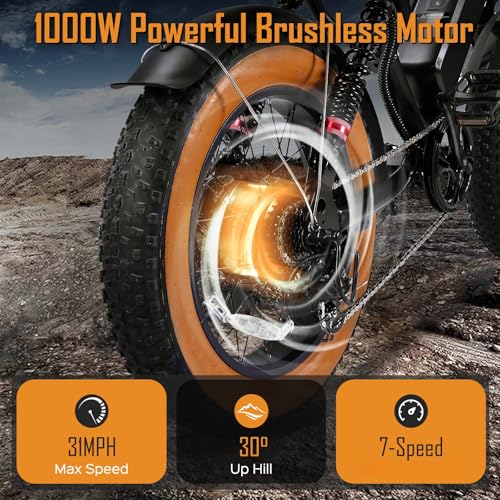 1000W 20" Fat Tire 48V 17.5AH Removable Battery Electric Bike M44800