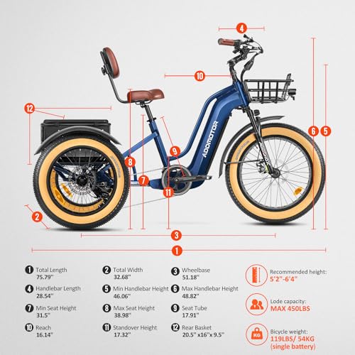 Electric Trike with 750W Rear Motor, 48V 20AH/40AH Dual Battery System, Differential, Parking Brake W37542