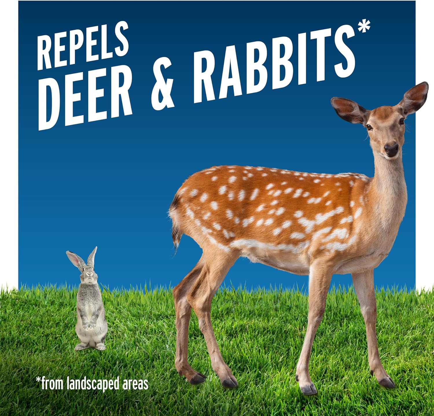 Deer & Rabbit Repellent, 32-Ounce C309003