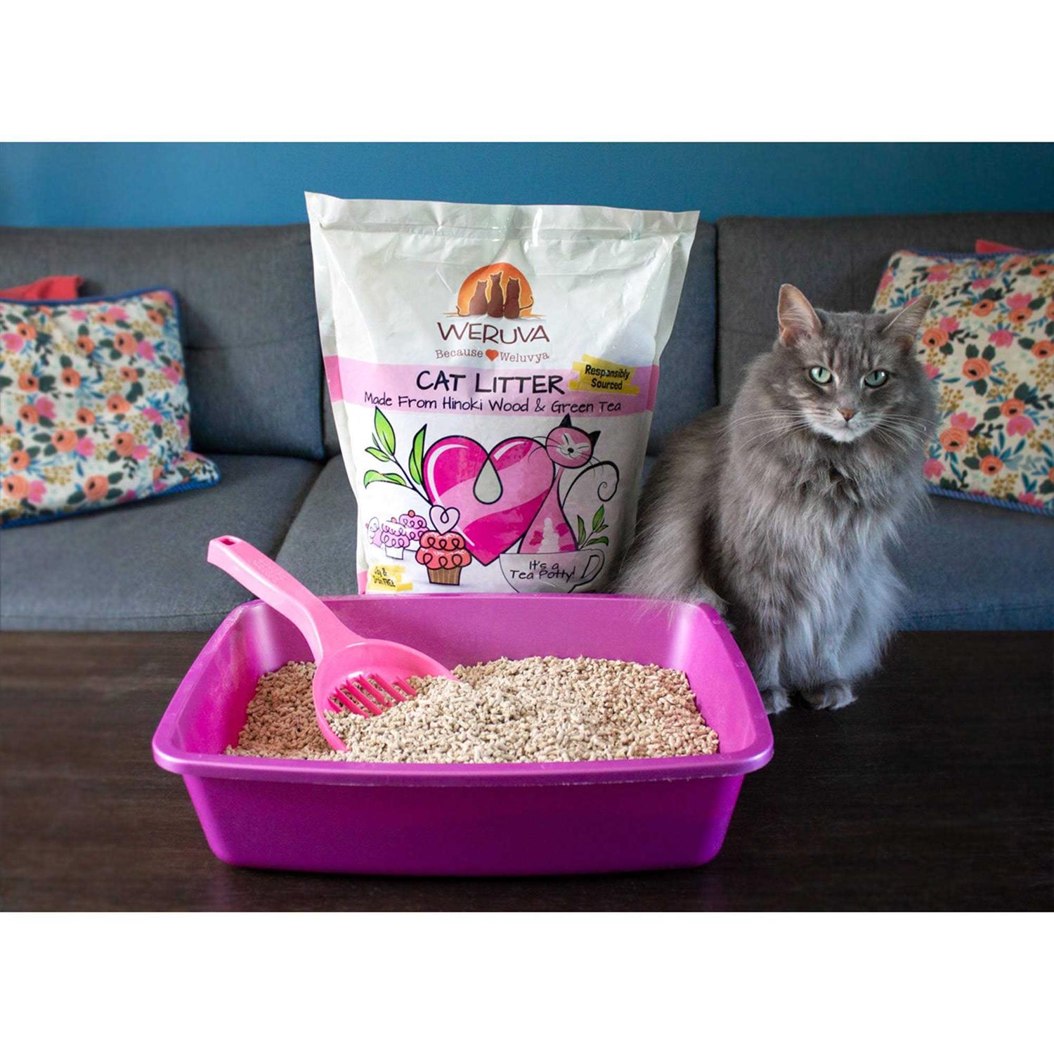 Green Tea Hinoki Wood Cat Litter H82550