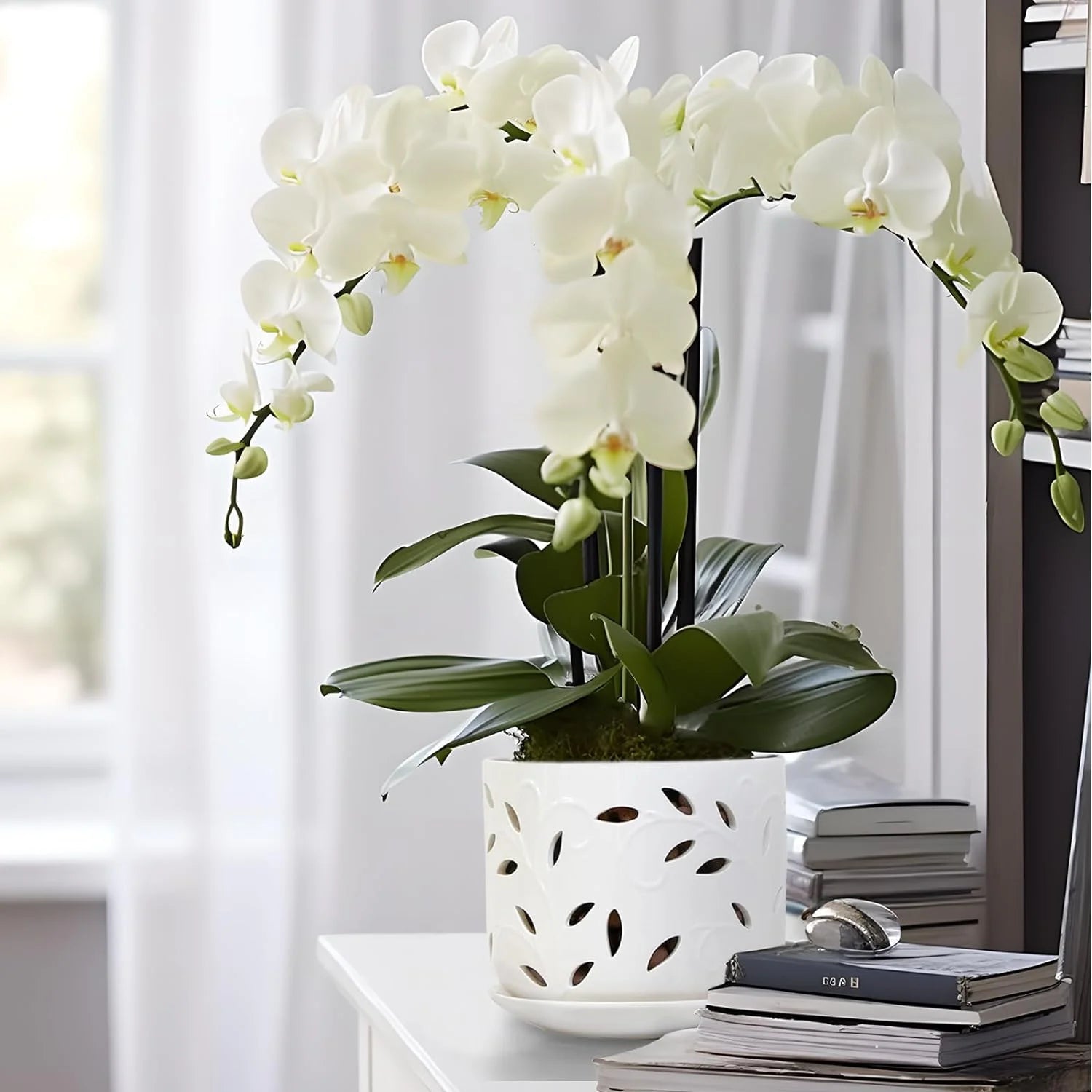 Set of 2 Ceramic Orchid Pots with Saucers, 5 inch & 6 inch D2701