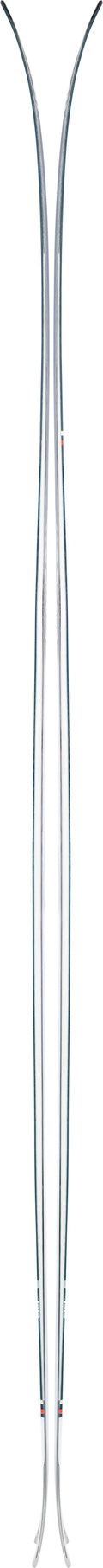 Sakana Skis B389