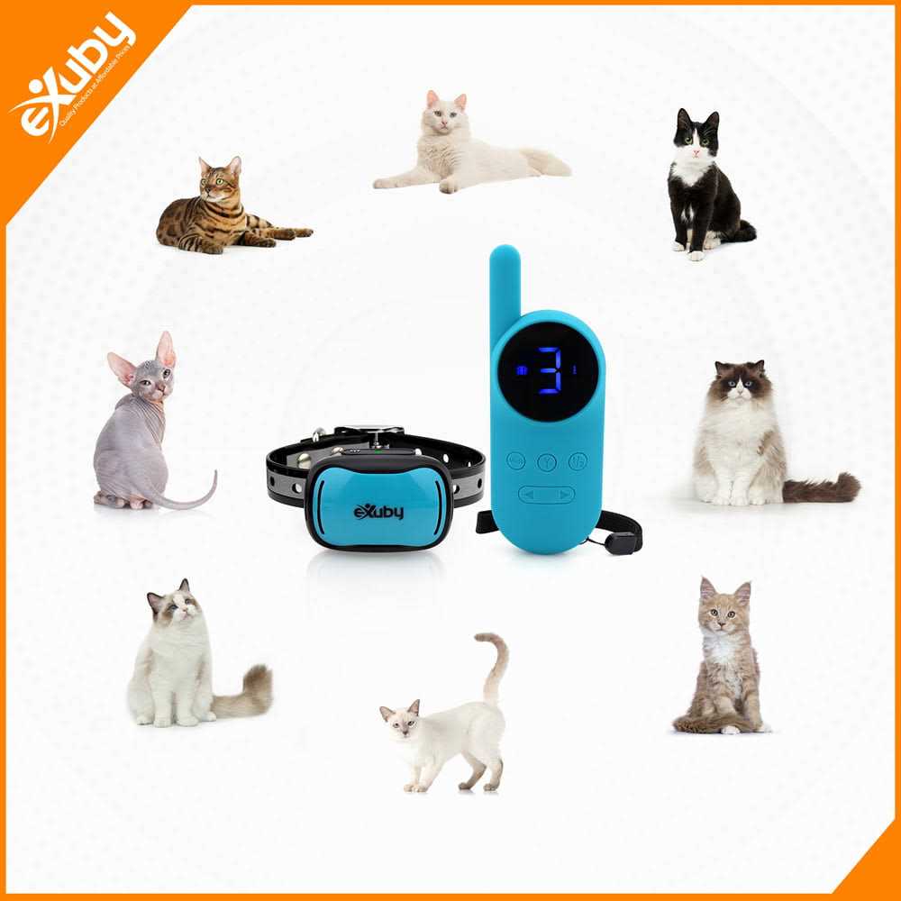 Small Cat Shock Collar with Remote J988