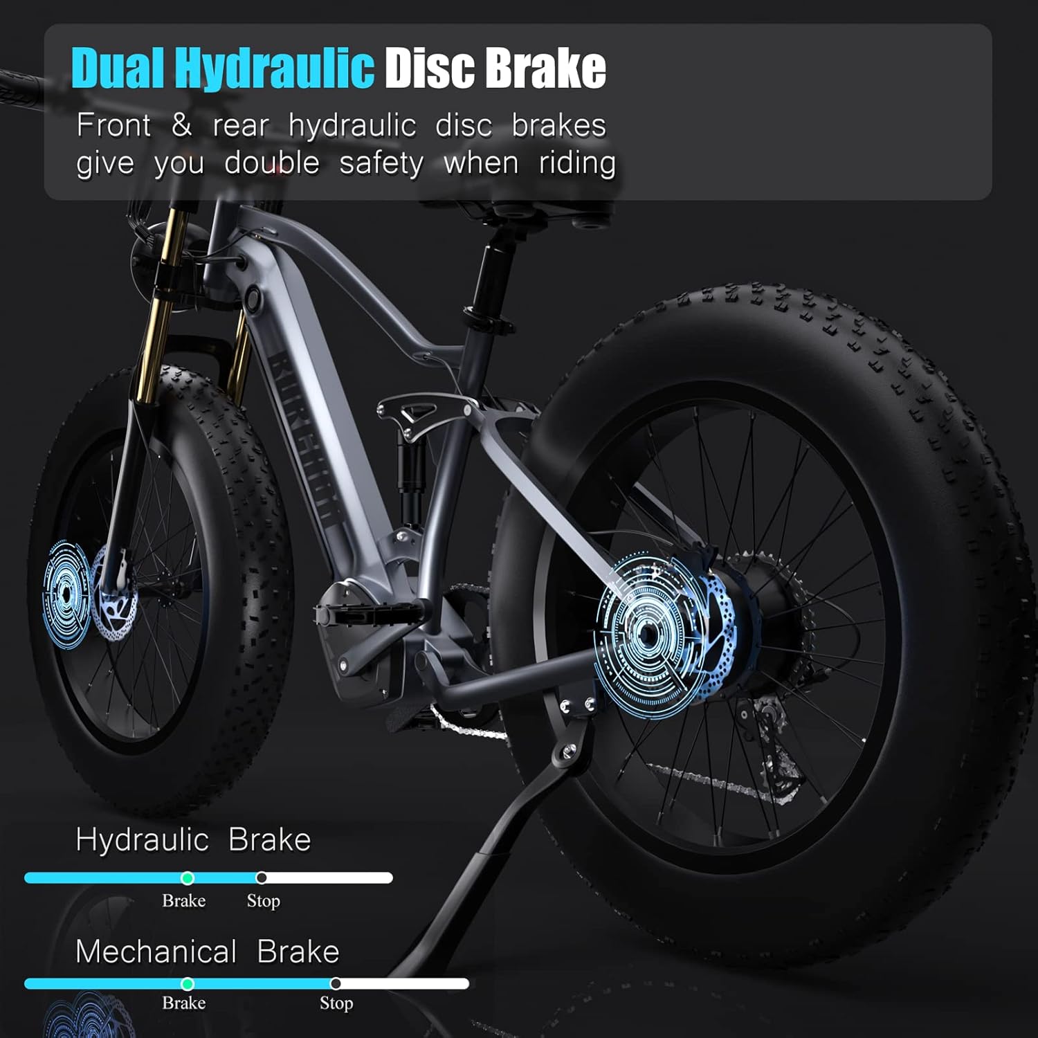 26" Fat Tire 1000W Electric Bike with 48V Removable Battery Q695