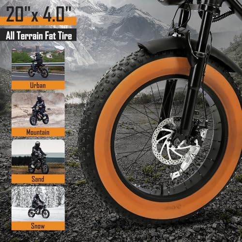 1000W 20" Fat Tire 48V 17.5AH Removable Battery Electric Bike M44800