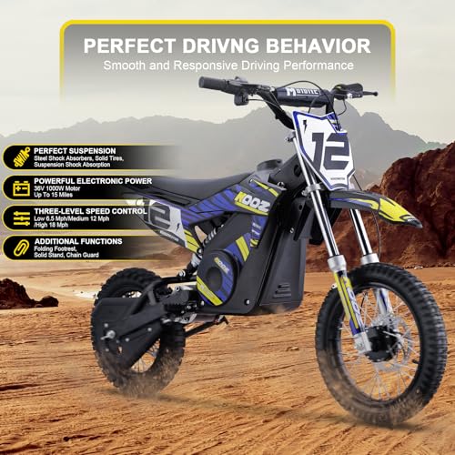 Blue 36V 1000W Electric Dirt Bike with 16" Tire W829555