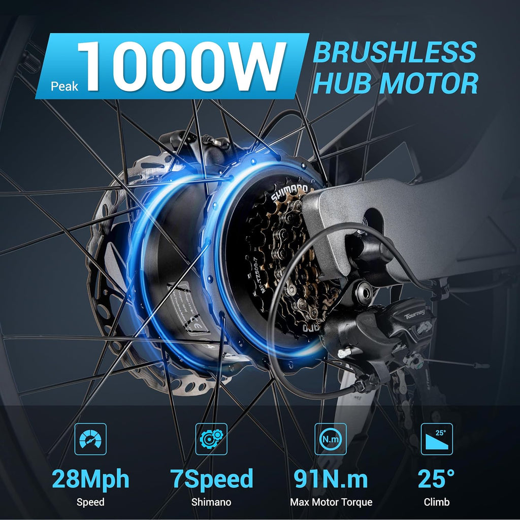 24 * 4.0" Fat Tires Electric Bicycle with 48V20Ah Battery, 7 Gears, Full Suspension Hydraulic Brakes C95095