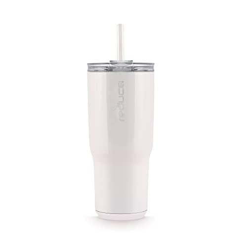 24 oz Dual-Wall Vacuum Insulated Stainless Steel Tumbler with Lid and Straw T1114