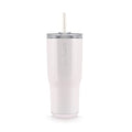 24 oz Dual-Wall Vacuum Insulated Stainless Steel Tumbler with Lid and Straw T1114