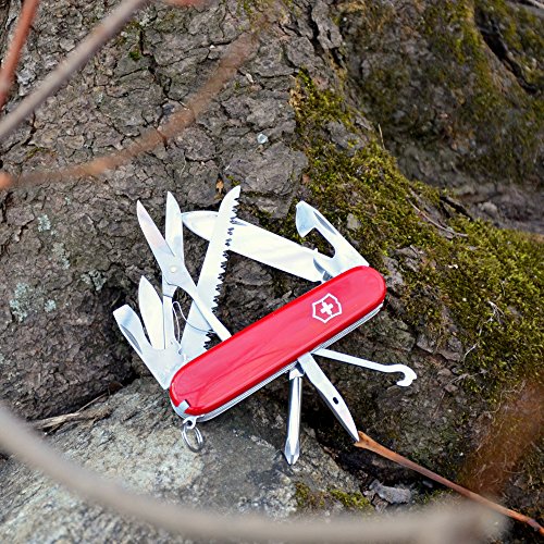 Fieldmaster Pocket Knife E91747